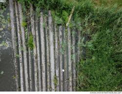 Photo Textures of Log Wood 